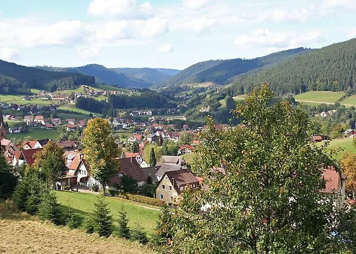 Haus Schwarzwaldsonne Apart Otel