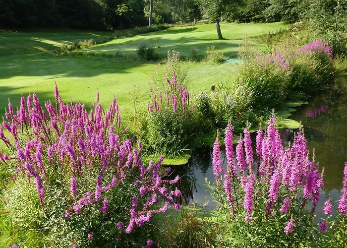 Haus Schwarzwaldsonne Apart Otel *