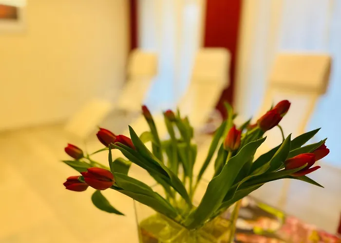 Haus Schwarzwaldsonne Apart Otel Freudenstadt